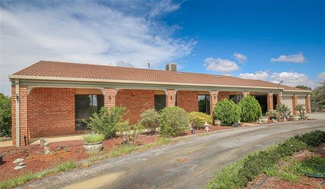 Picture of 20 Gum Lane, CURLWAA NSW 2648