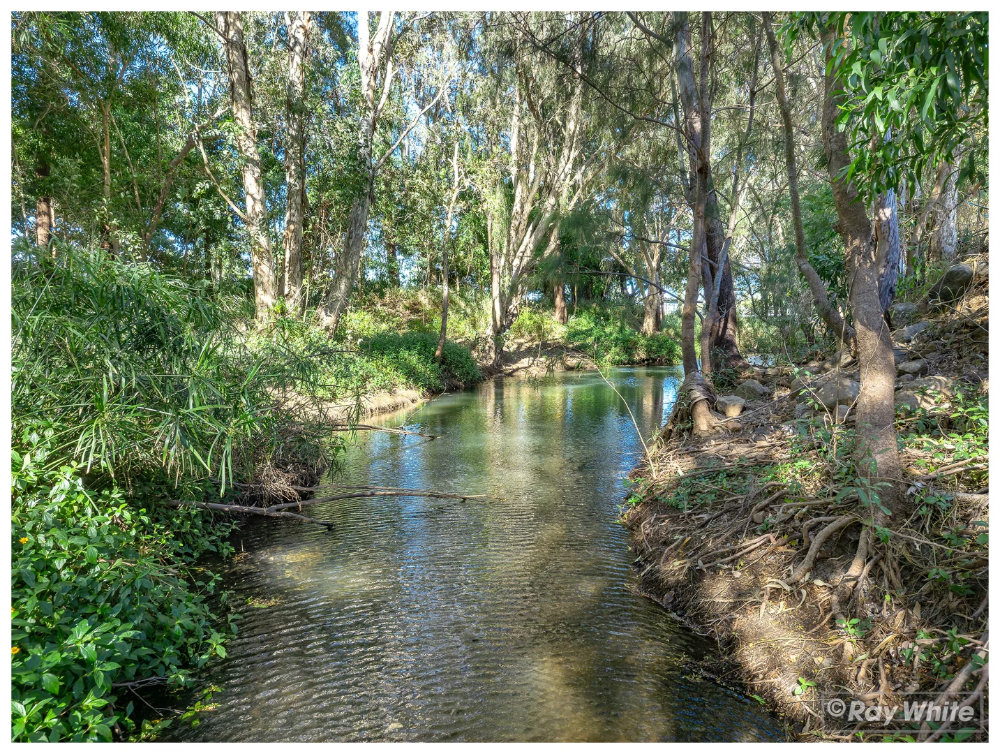 Image 10