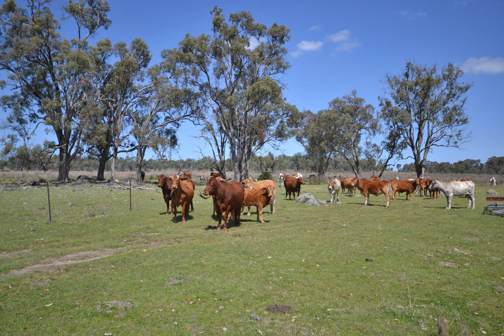 Image 11