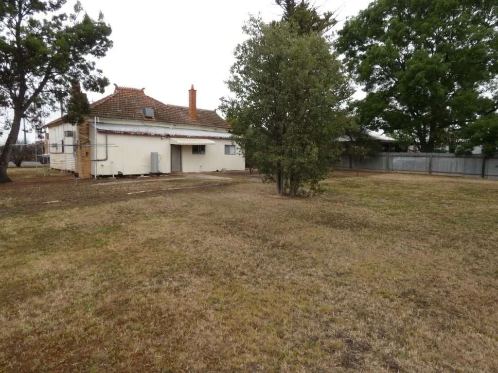 Image 19