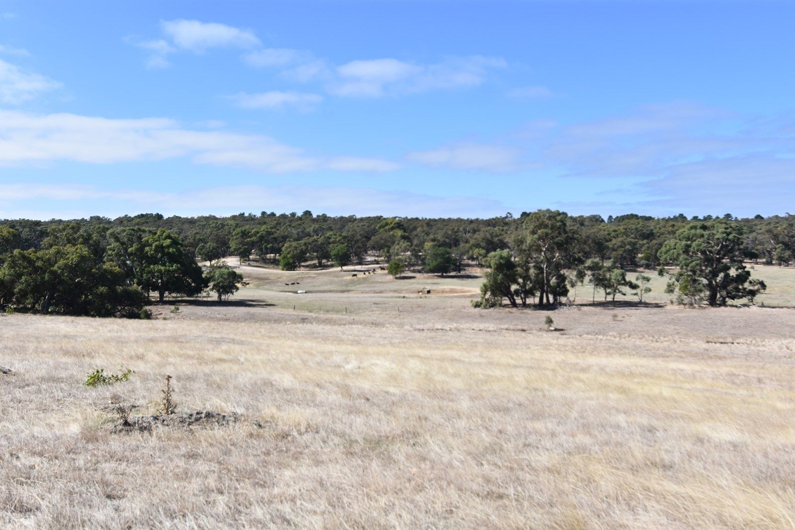 Lot 3 Snake Valley - Chepstowe Road, Snake Valley VIC 3351, Image 1