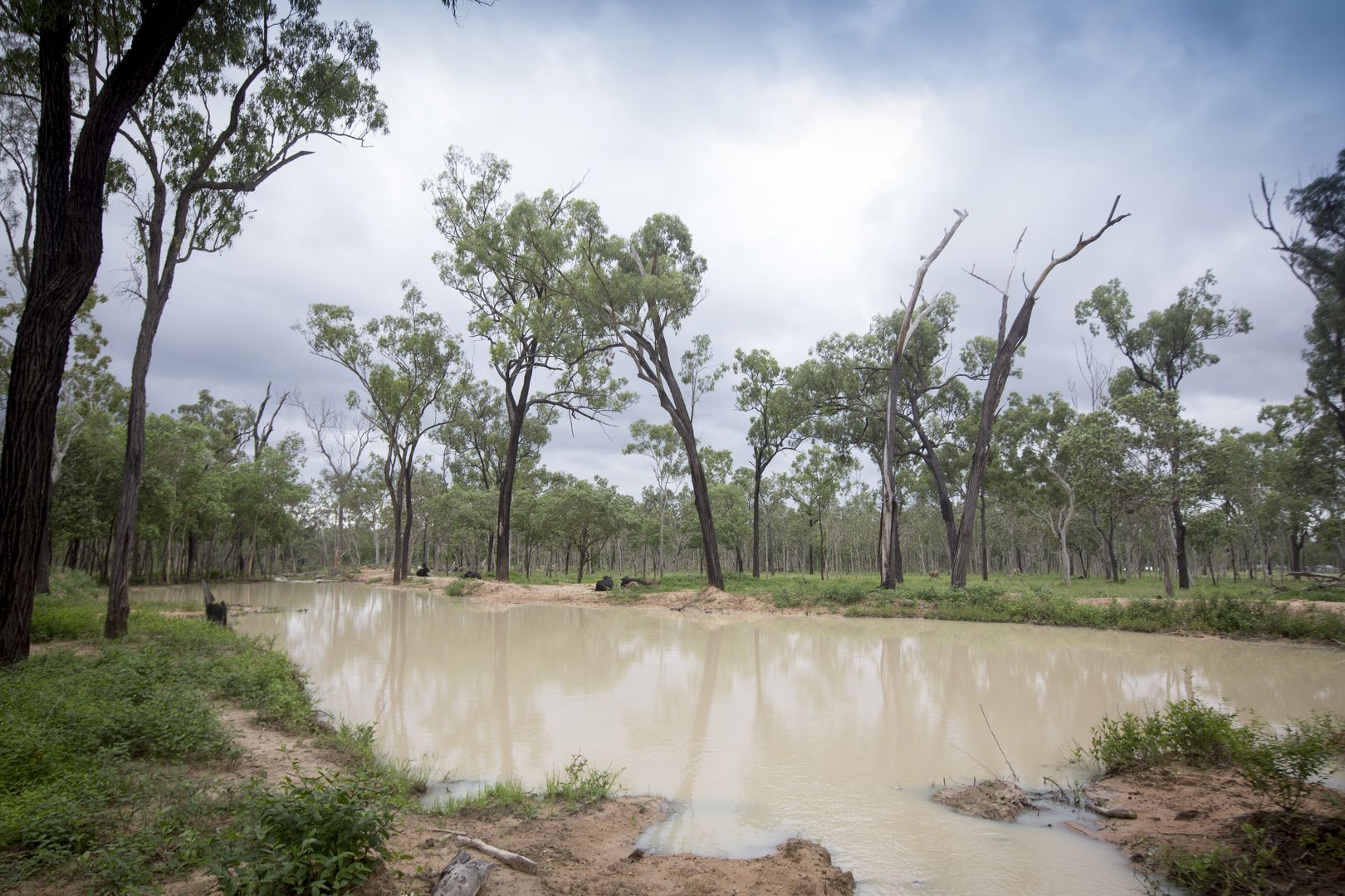 598 Mill Road, Black River QLD 4818 Vacant Land for Sale 600,000