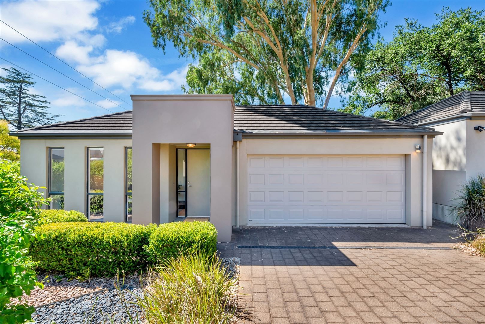 55A Morialta Road, Rostrevor SA 5073, Image 0