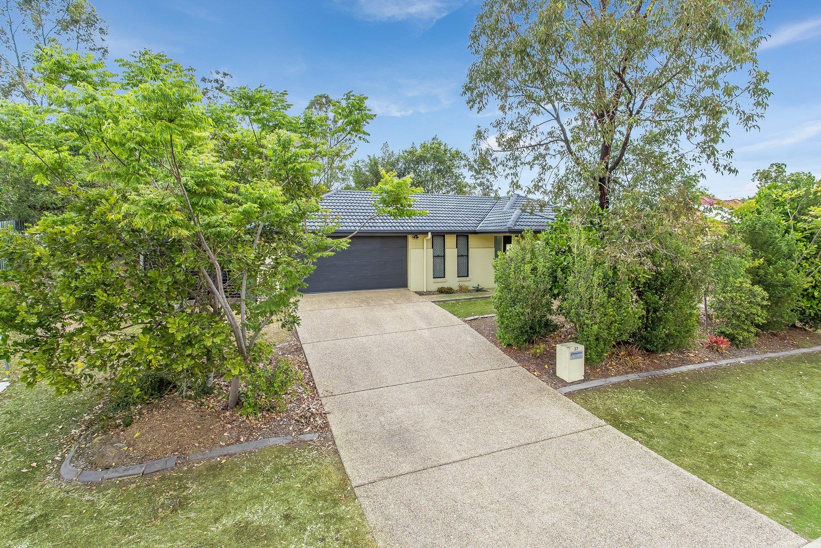 37 Peggy Road, Bellmere QLD 4510, Image 0