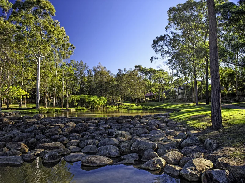 Image 14