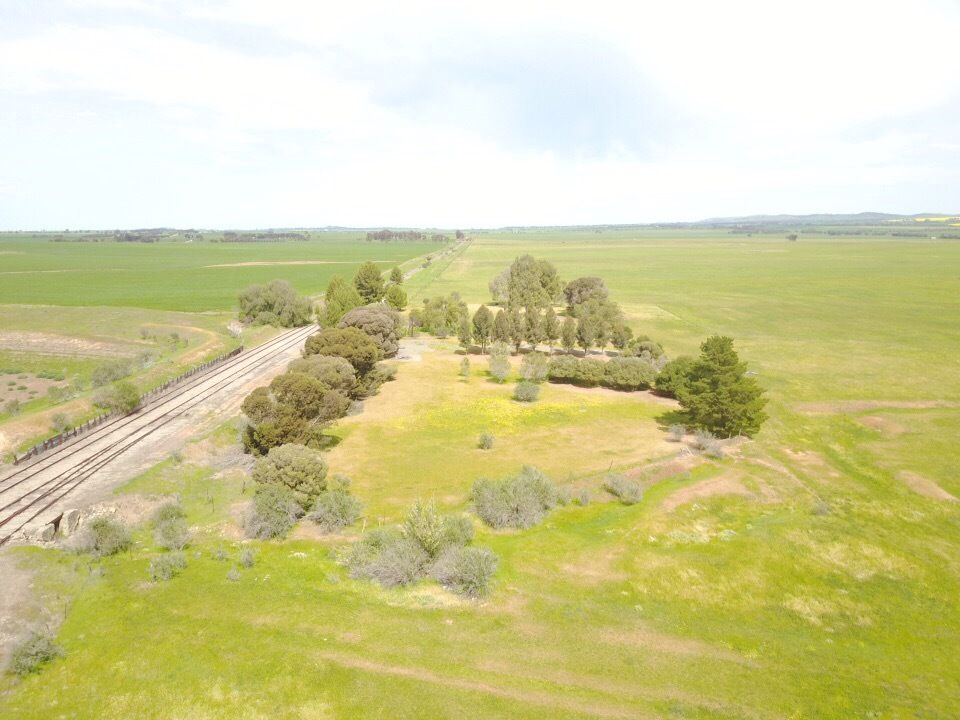 Allotment 3, 4, 5 & Catharine St, Farrell Flat SA 5416 Domain