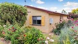 Picture of 18 Shadforth Street, CASTLEMAINE VIC 3450