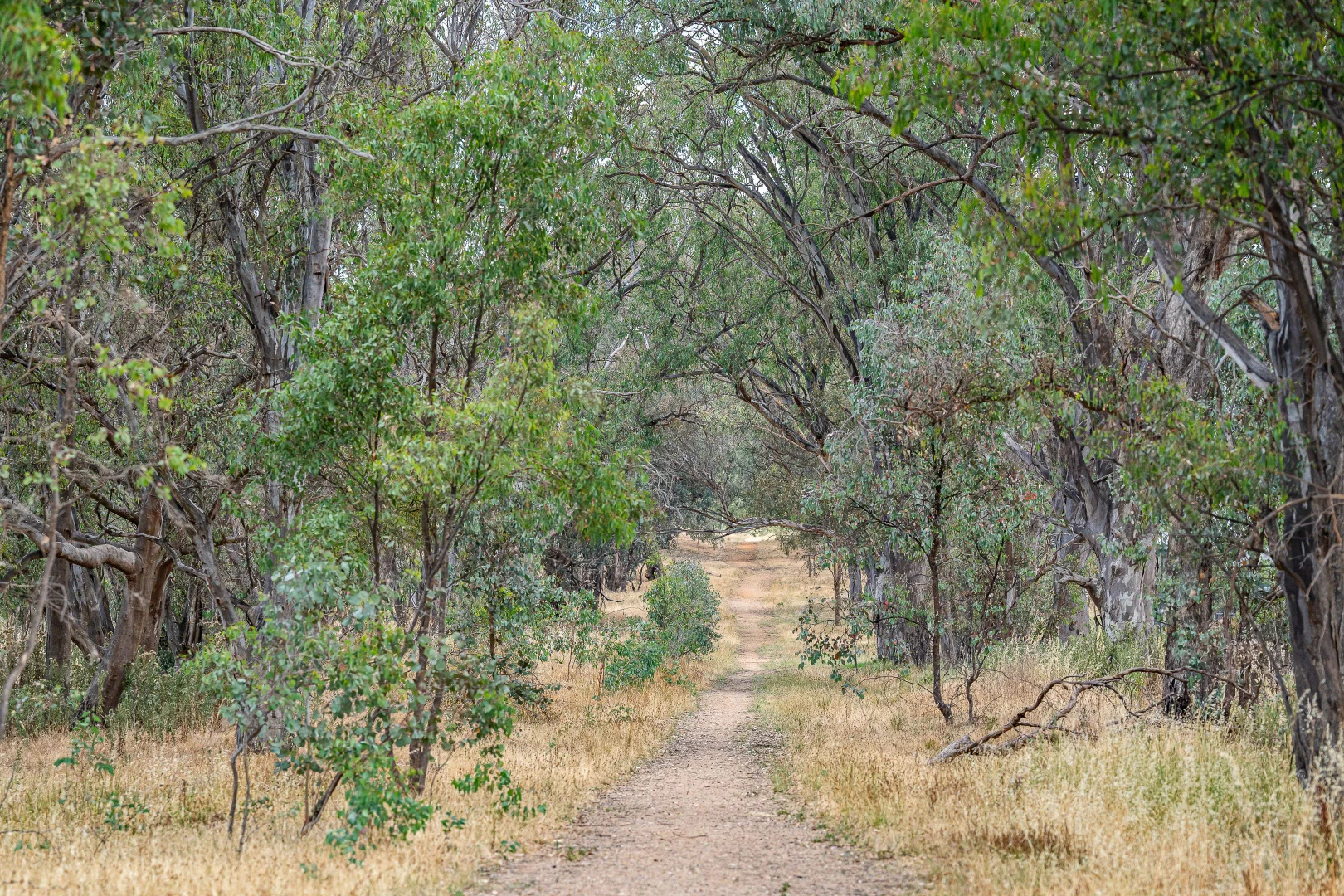 Additional image 16 of Thurgoona NSW 2640