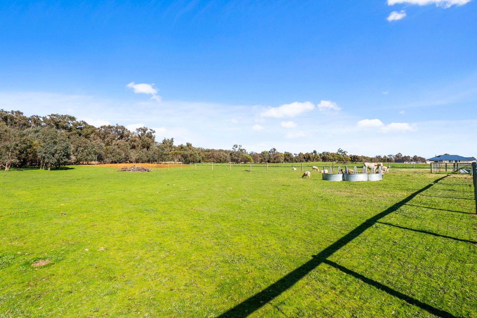 Lot 8 Molloy Close, North Dandalup WA 6207, Image 2