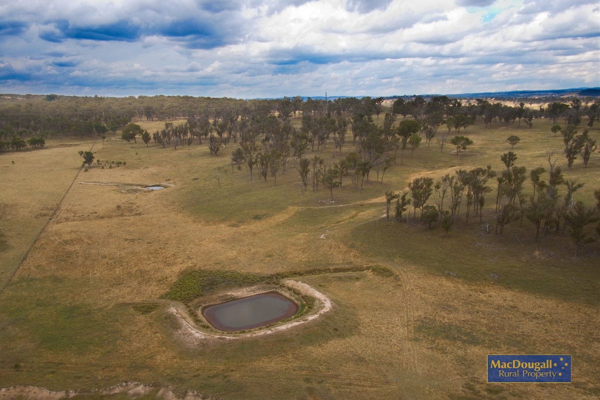 Armidale NSW 2350, Image 0