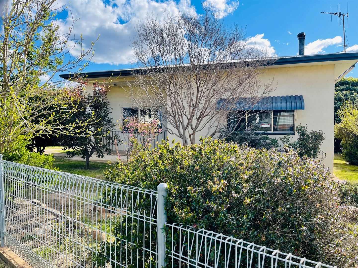 4 bedrooms House in 19 Bent Street KANDOS NSW, 2848