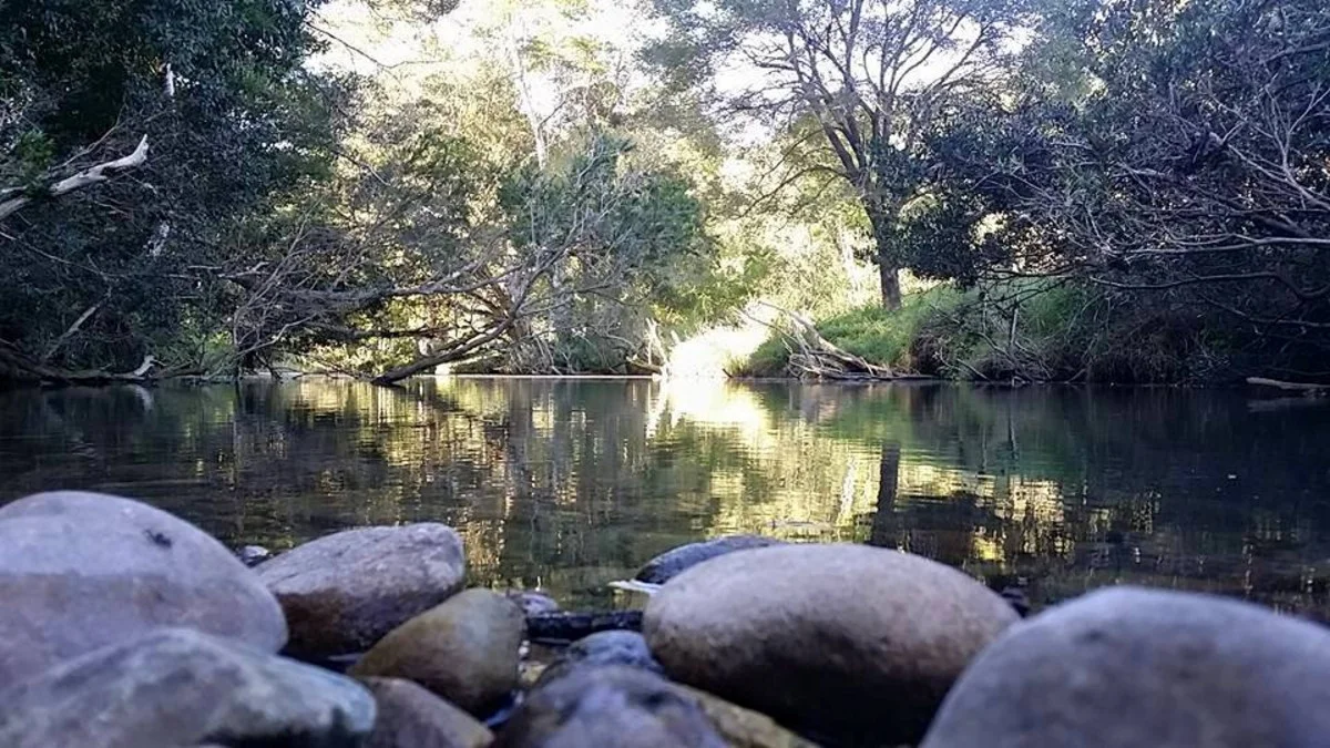 Additional image 11 of 130a Austinville Road, Austinville QLD 4213