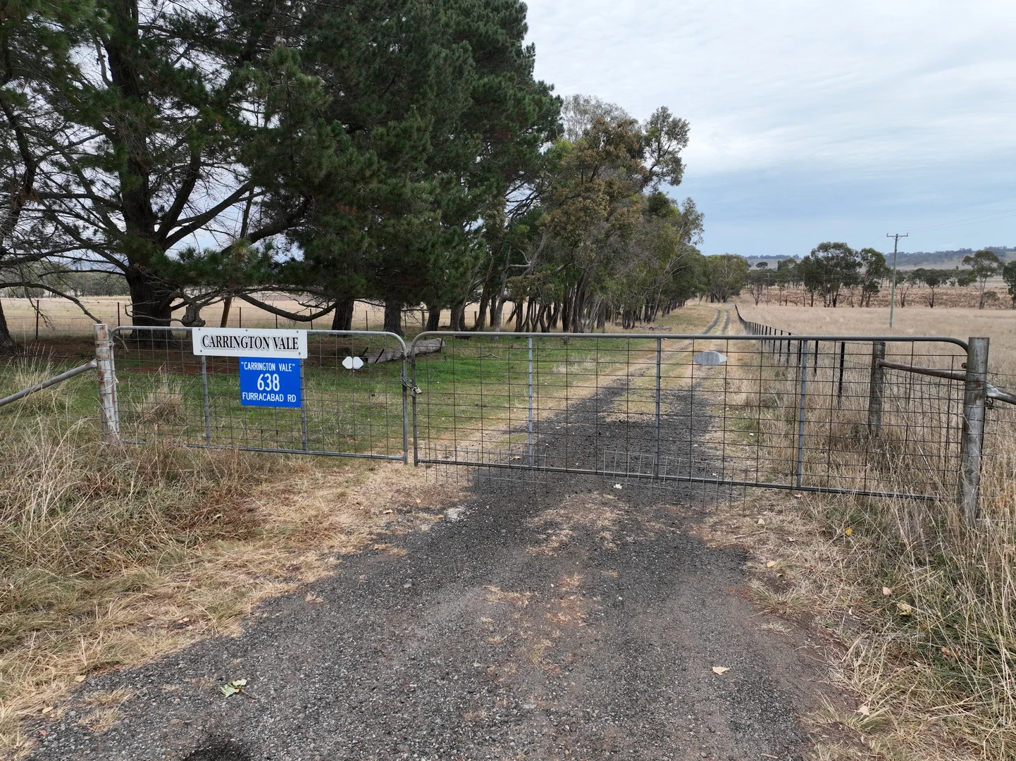 Image 10