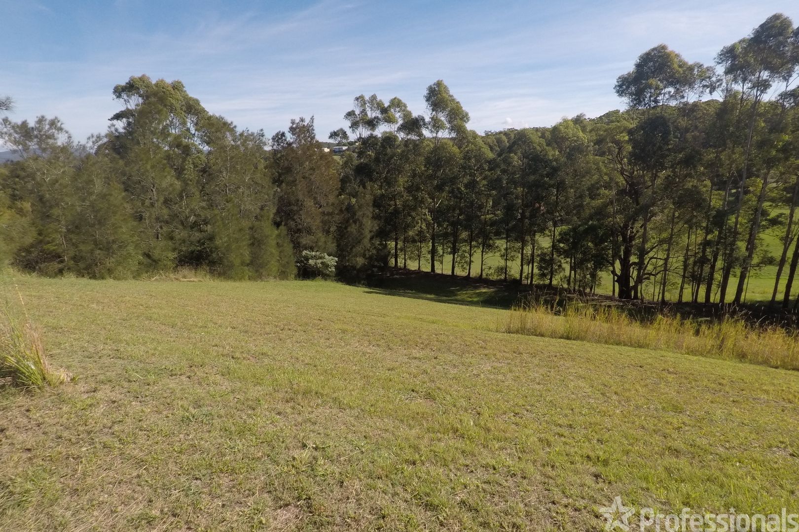 5 Bottle Brush Lane, Tallwoods Village NSW 2430, Image 1