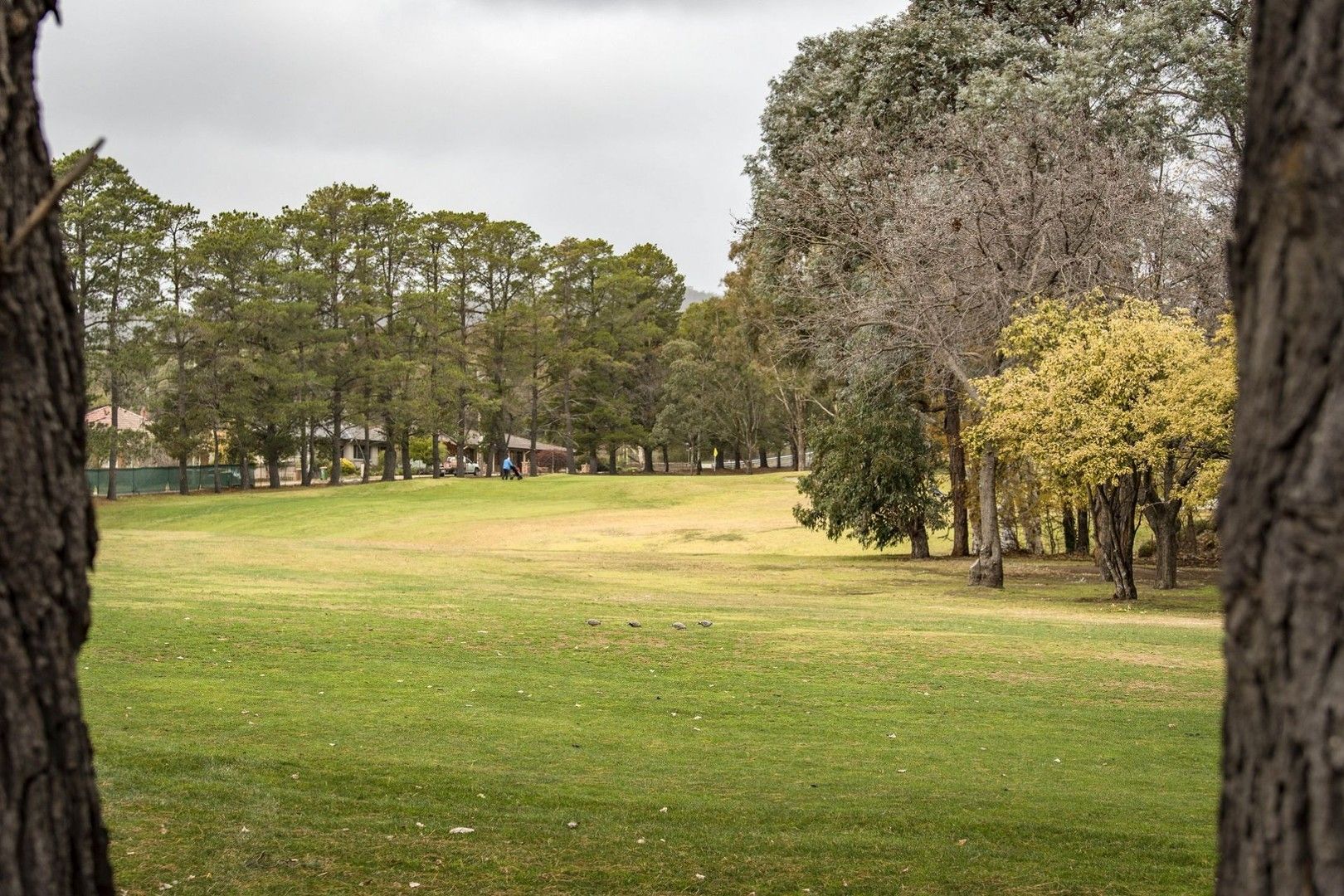 2 bedrooms Townhouse in 8/10-12 Booth St QUEANBEYAN EAST NSW, 2620