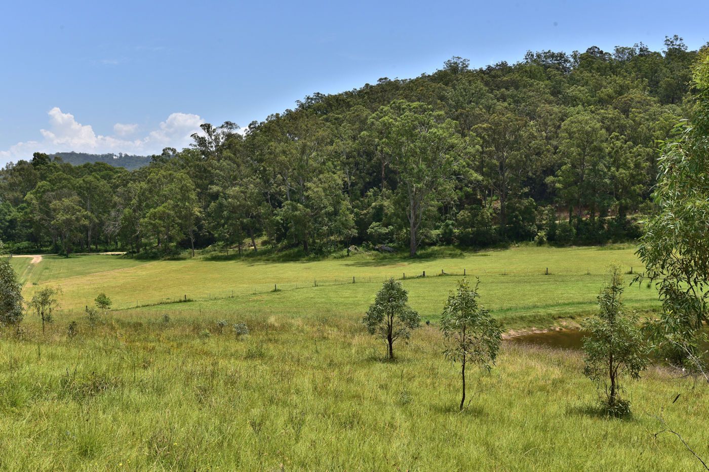 Great North Road, Laguna NSW 2325, Image 2