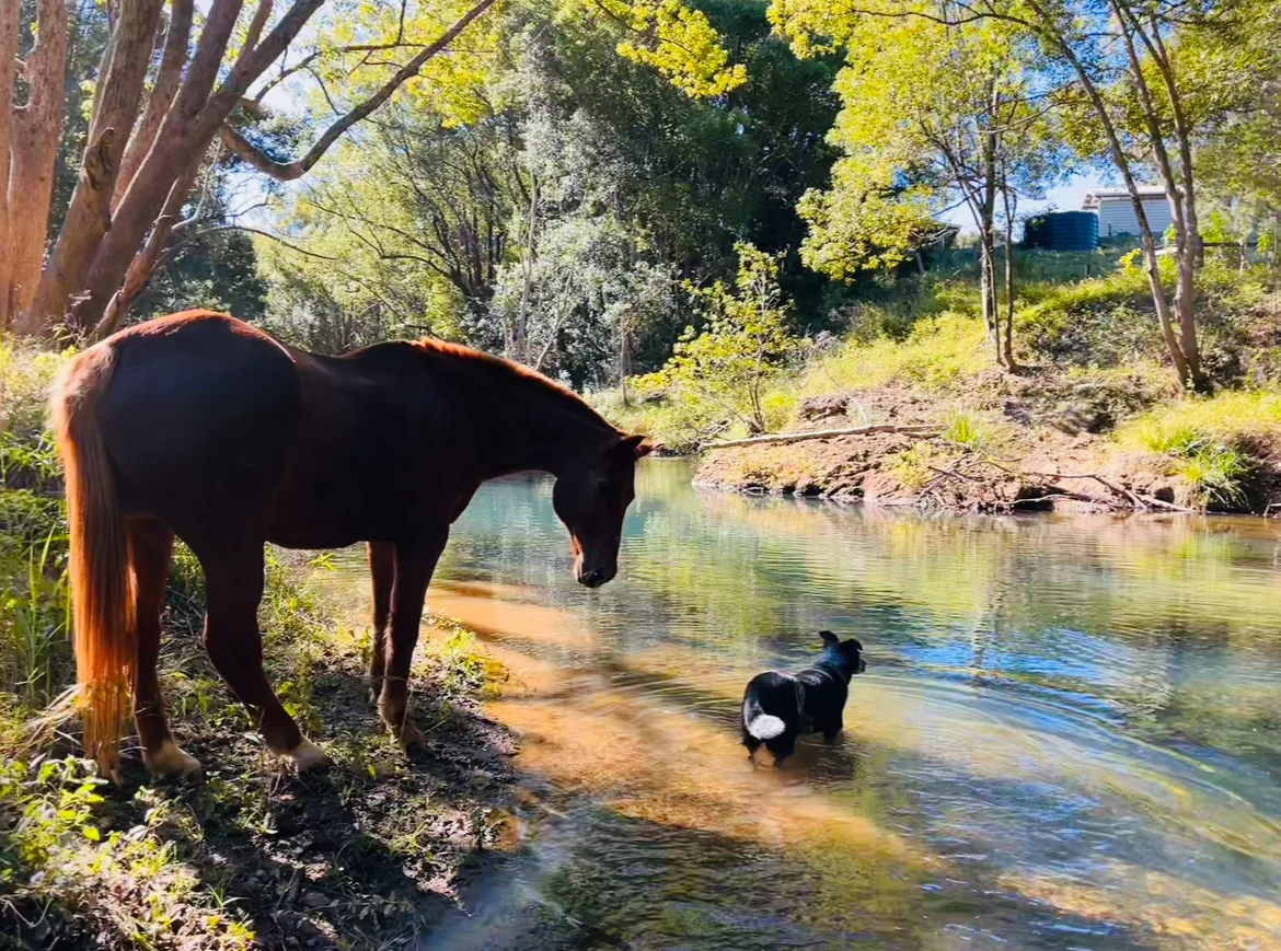Additional image 34 of 241 Burringbar Road, Burringbar NSW 2483