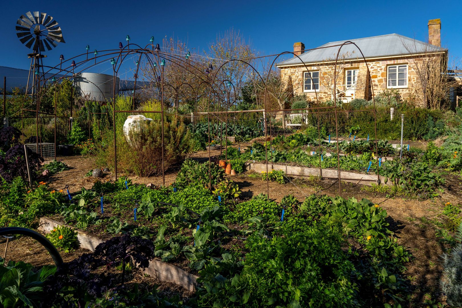 394 Springs Road, Mount Barker SA 5251 House for Sale Domain