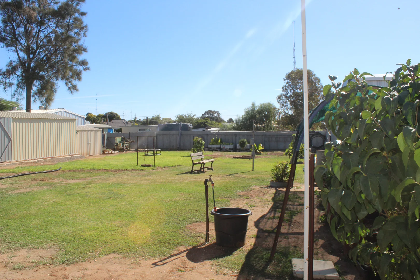 Image 22