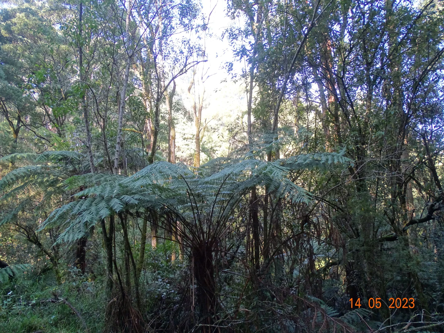 Image 7