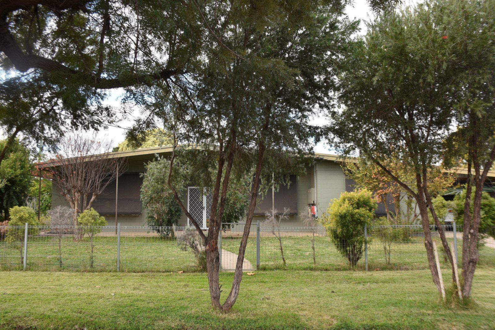 42 Boston Street, Moree NSW 2400, Image 0