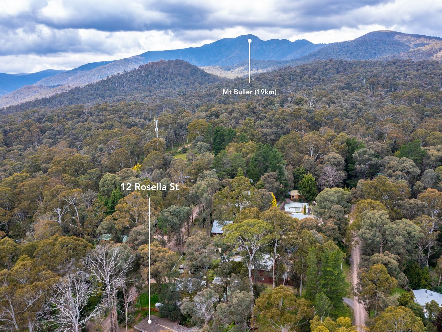 12 Rosella Street, Sawmill Settlement VIC 3723, Image 2