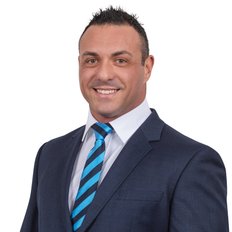 Anthony Panizza, Sales representative