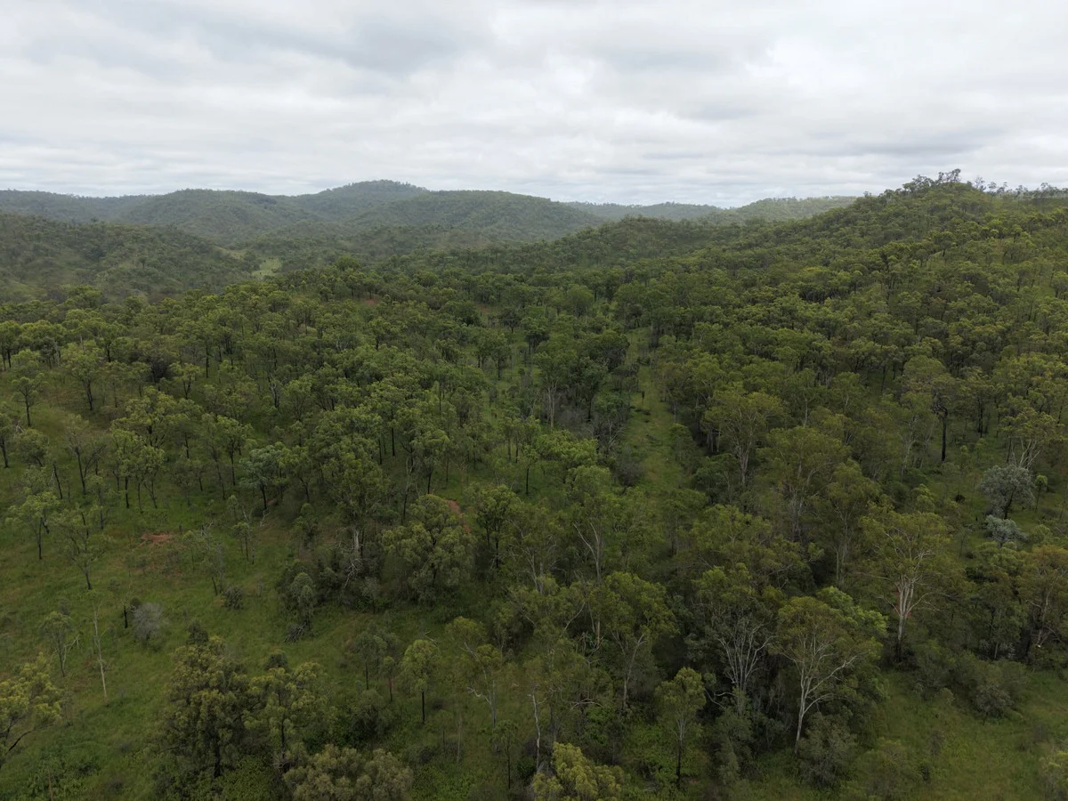 Additional image 26 of 1609 Monal Road, Monto QLD 4630