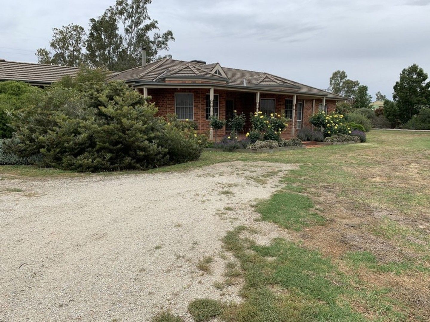 323 East Barham Road, Barham NSW 2732 House for Sale 596,000