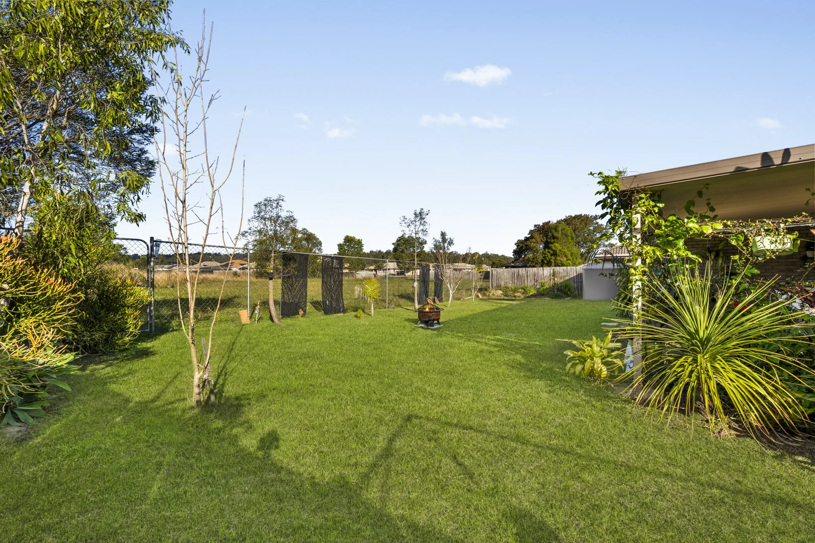 Image 15