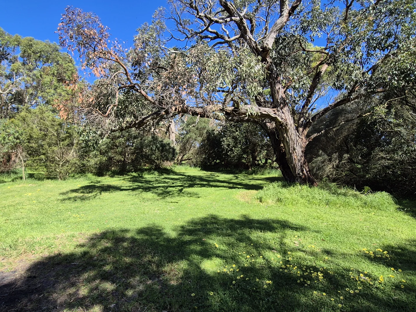 Image 15