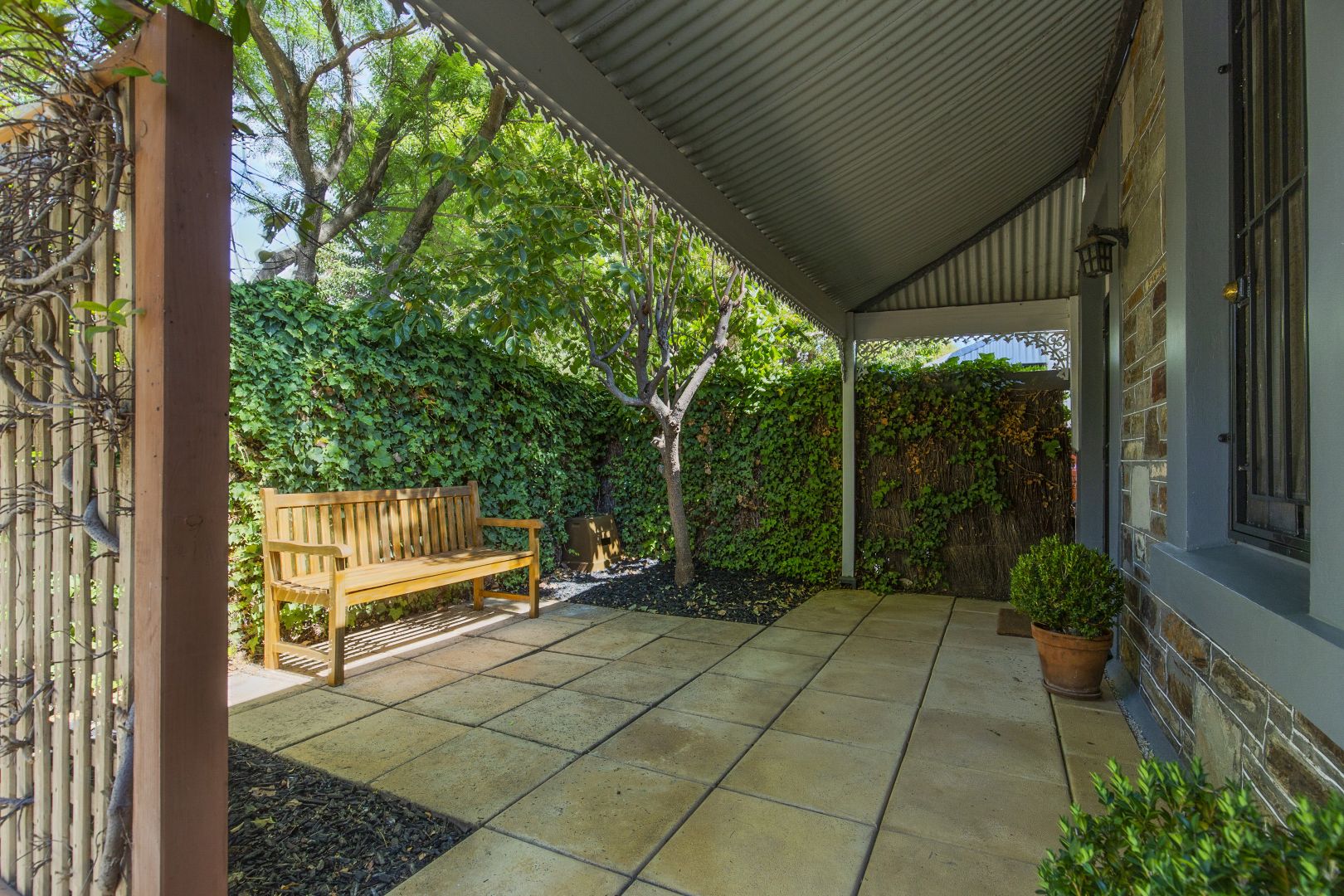 16 Grace Street, Goodwood SA 5034, Image 1