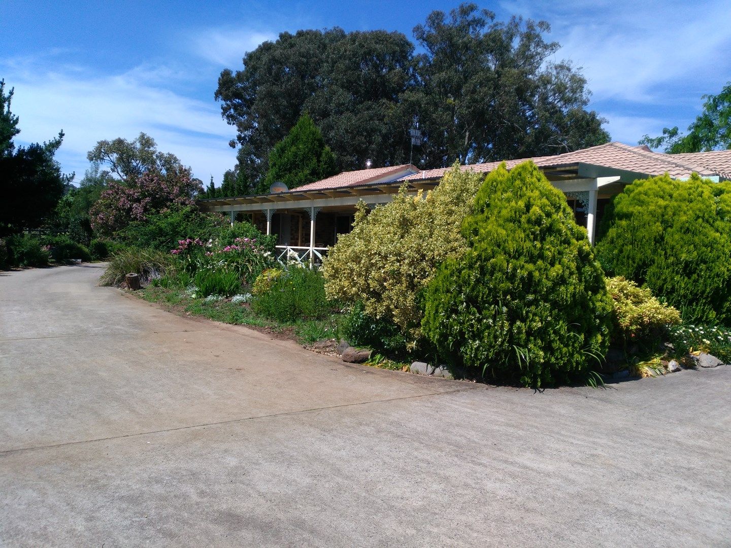 16 Thomas, Glen Innes NSW 2370, Image 0