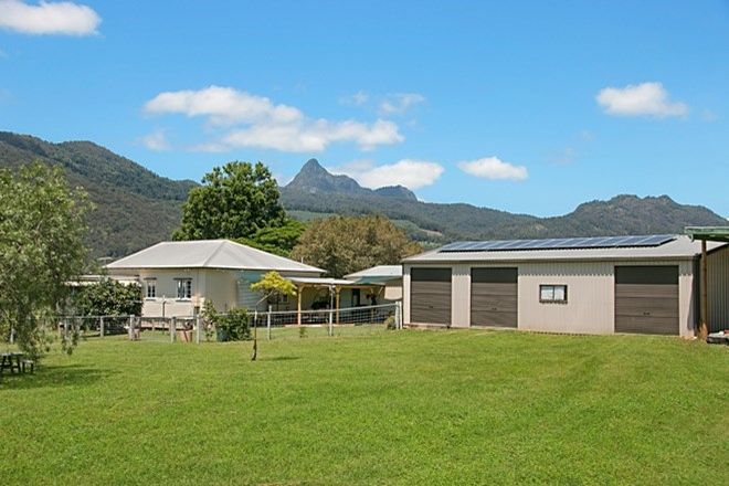 Picture of 47 Kellys Road, EUNGELLA NSW 2484