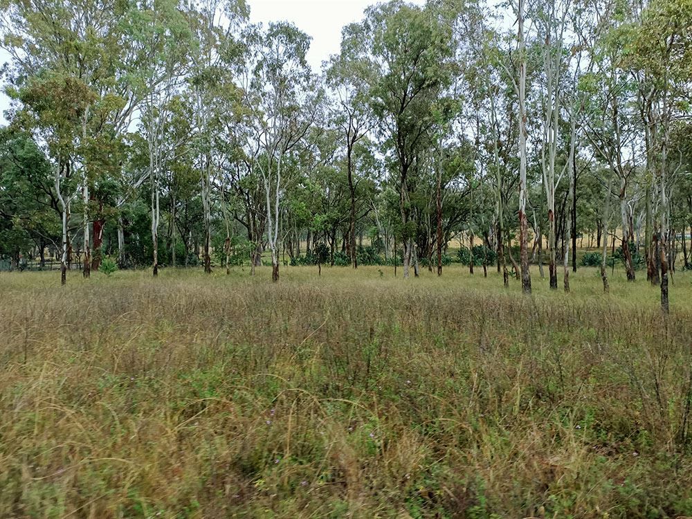 Lot 4 Ahern Lane, Pratten QLD 4370, Image 1