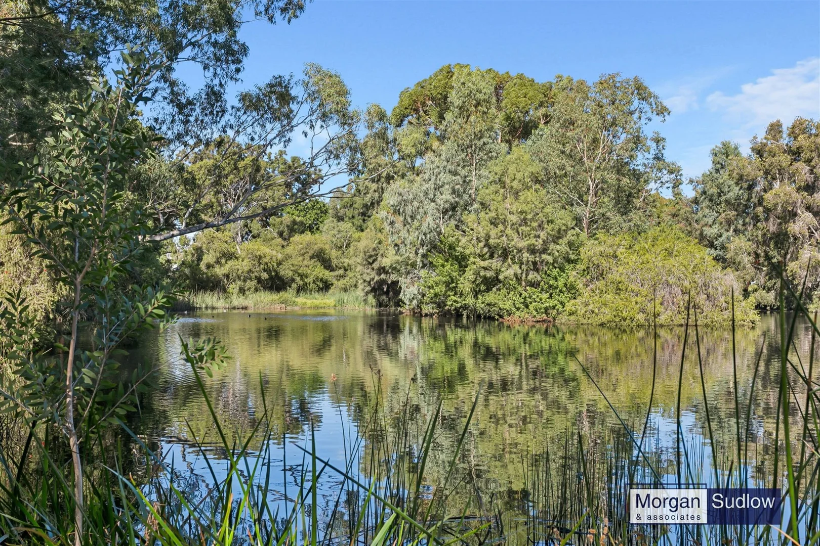 Additional image 13 of 35 Peel Street, Jolimont WA 6014