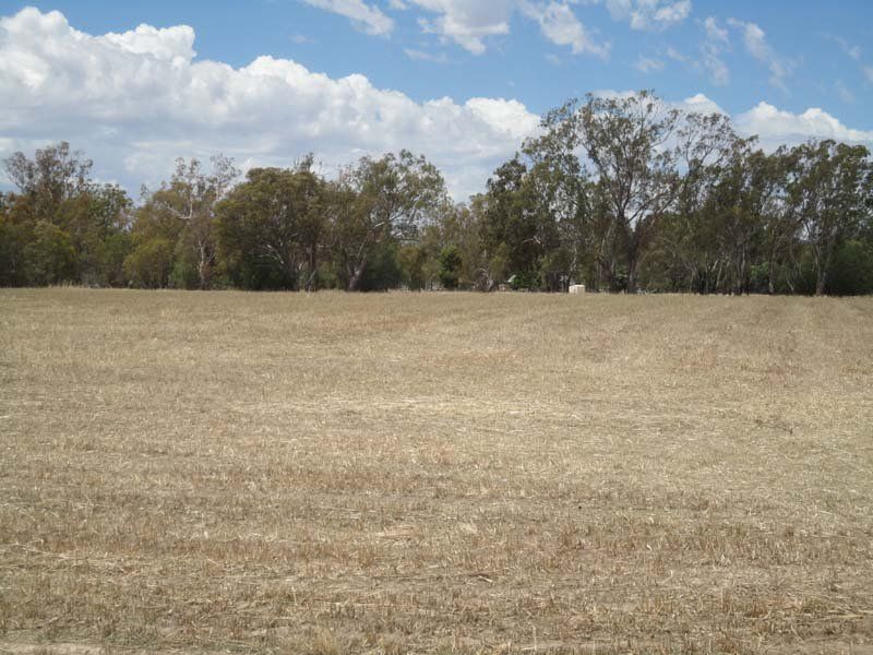 Lot 5 McDiarmids Road, Violet Town VIC 3669, Image 0