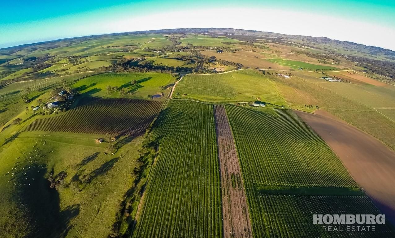 344 Rosedale Scenic Road, Lyndoch SA 5351 House for Sale Domain