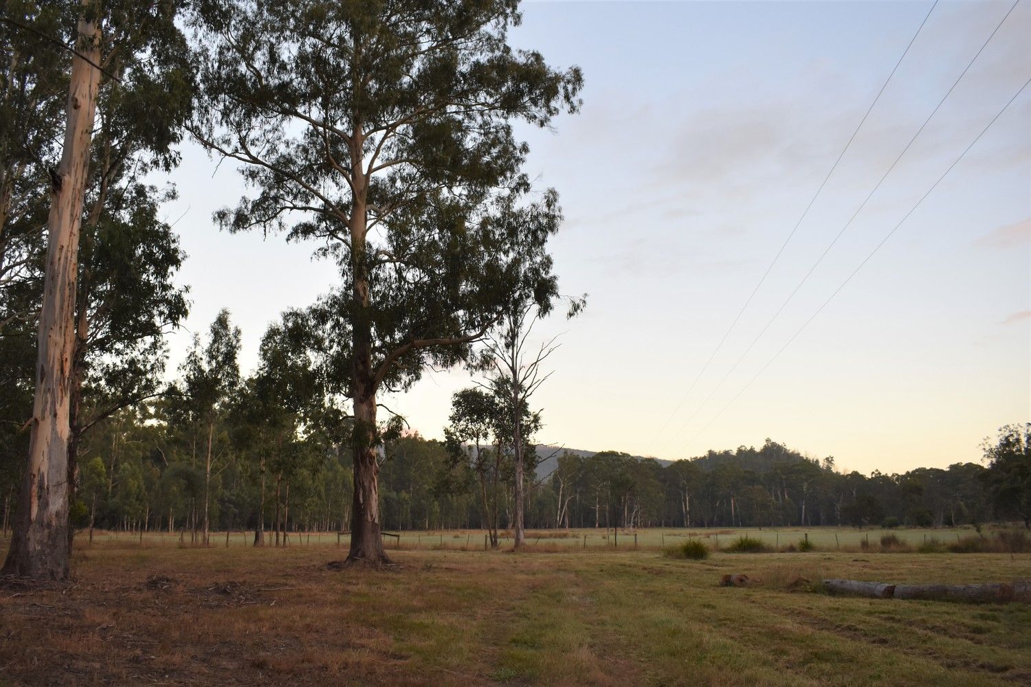 1301 Maroondah Highway, Narbethong VIC 3778, Image 0