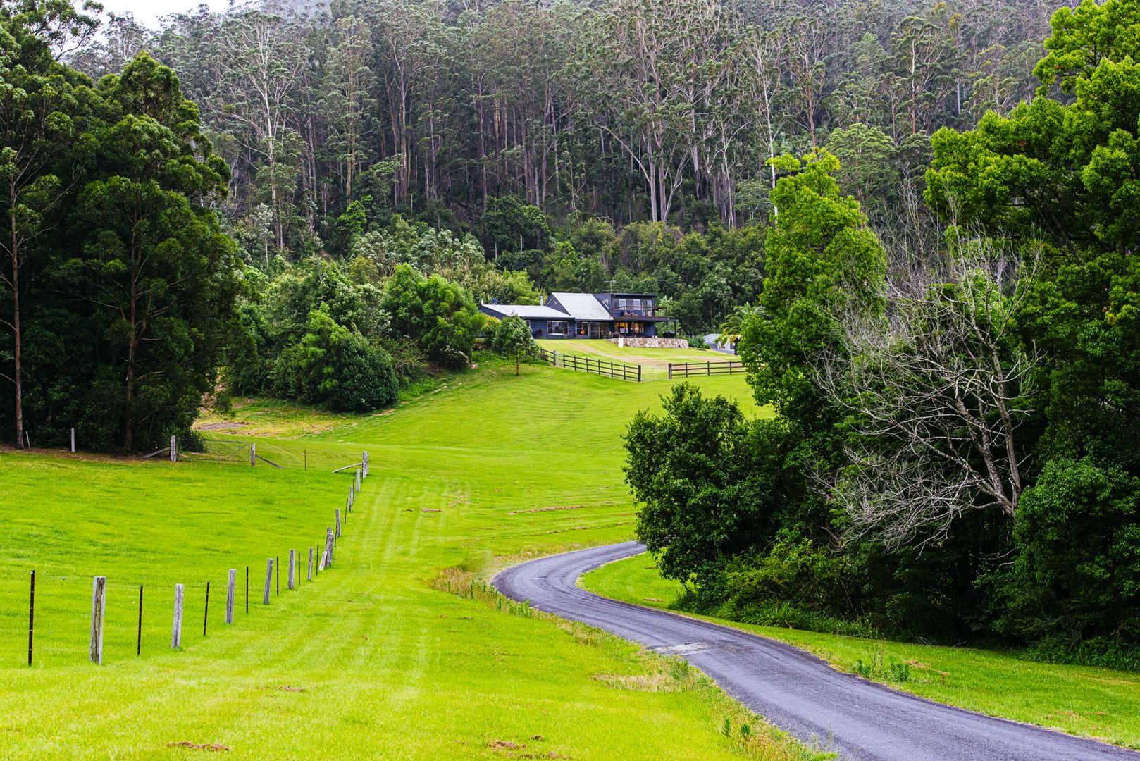 1184 Coramba Road, Karangi NSW 2450 House for Sale Domain
