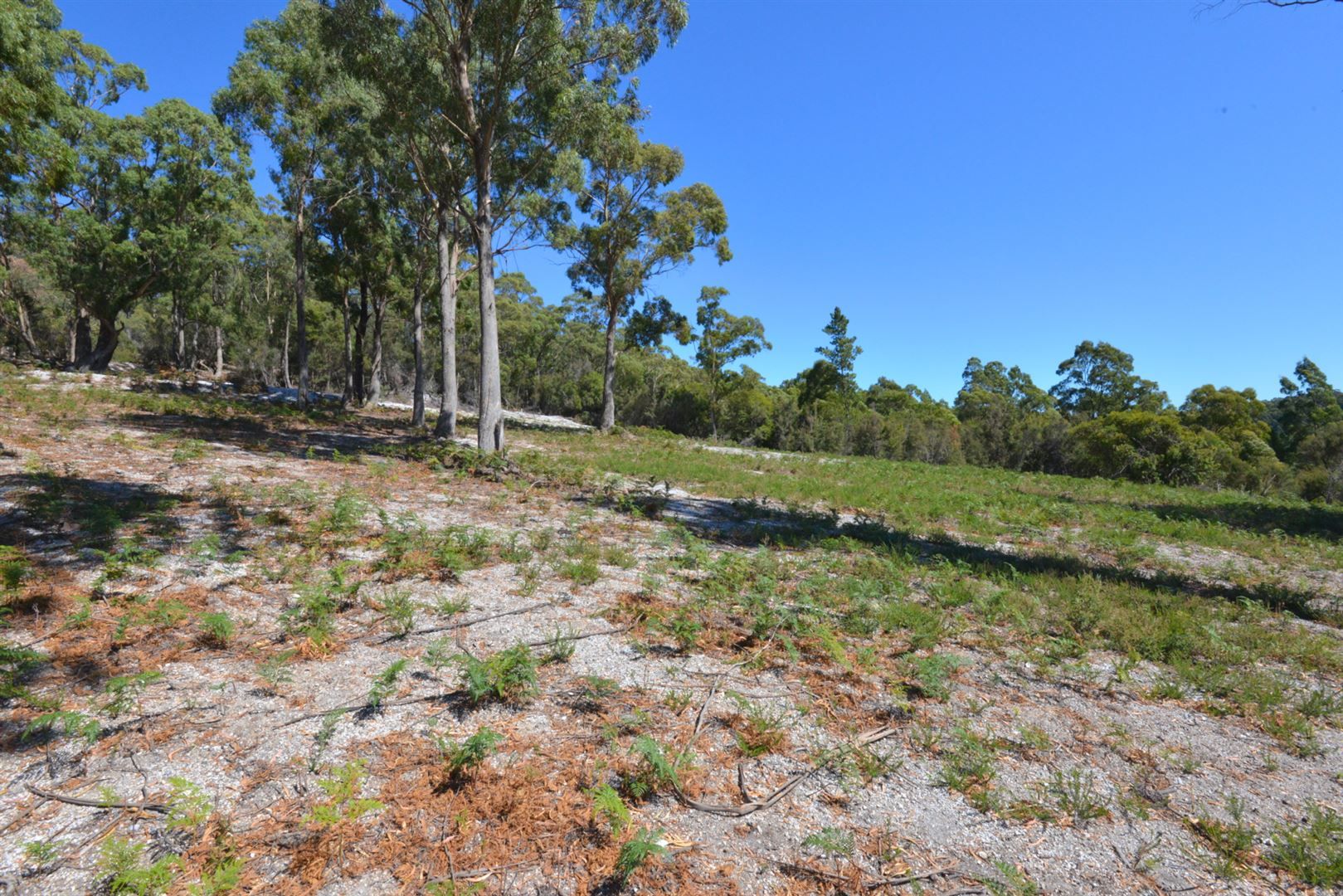 Lot 1/48 White Hills Road, Penguin TAS 7316, Image 0