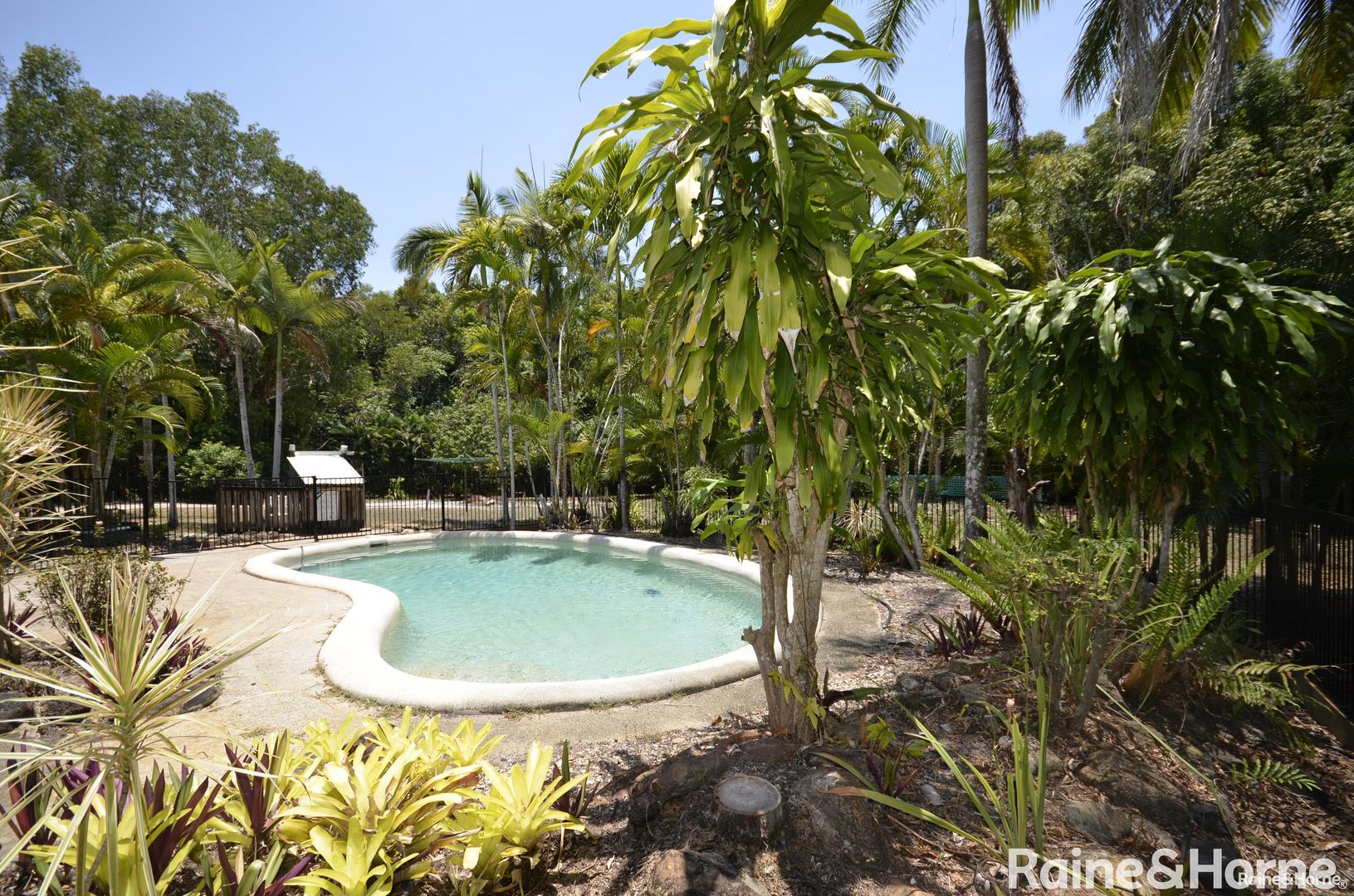 157-163 SOUTH ARM DRIVE, Wonga Beach QLD 4873, Image 2