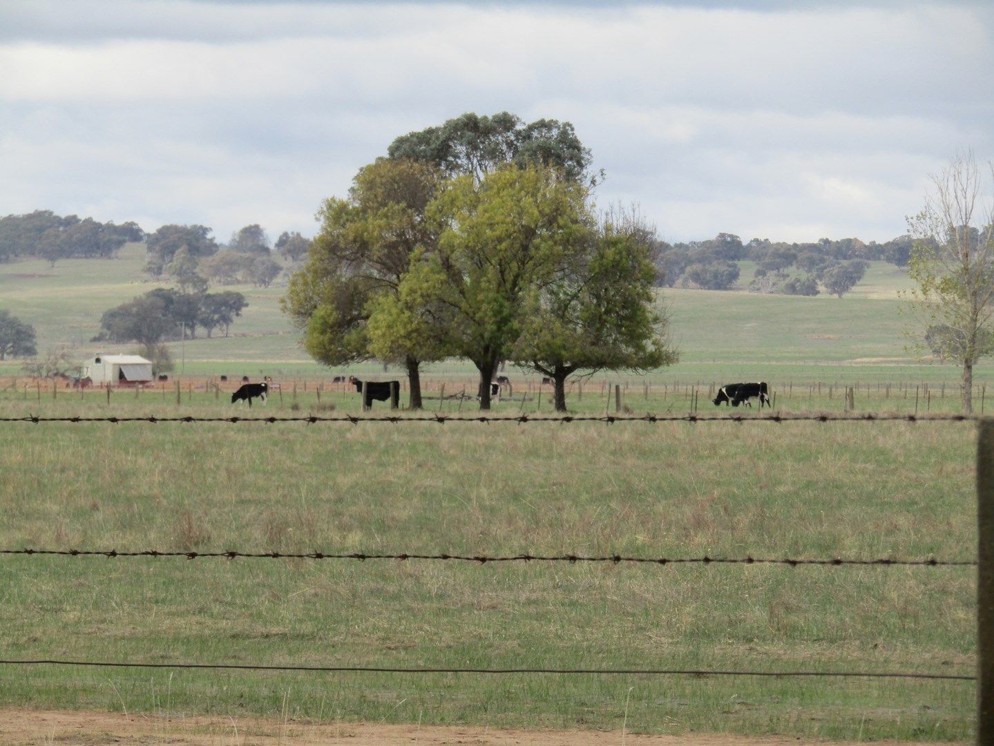 00 Bradley Road, Eldorado VIC 3746, Image 0