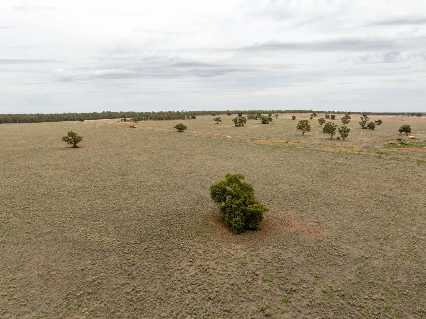 Additional image 2 of Barellan Road, Narrandera NSW 2700