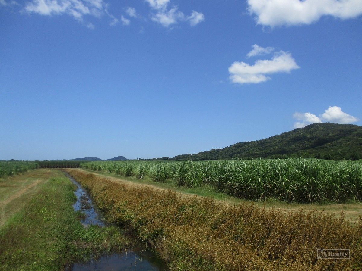 Innisfail QLD 4860 Specialist Farm for Sale 980,000 Domain