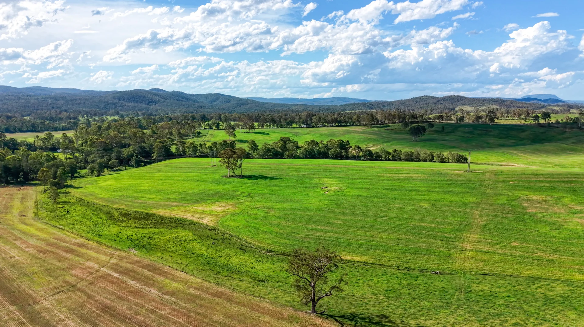 Additional image 8 of 119 Paddys Flat Road, Tabulam NSW 2469