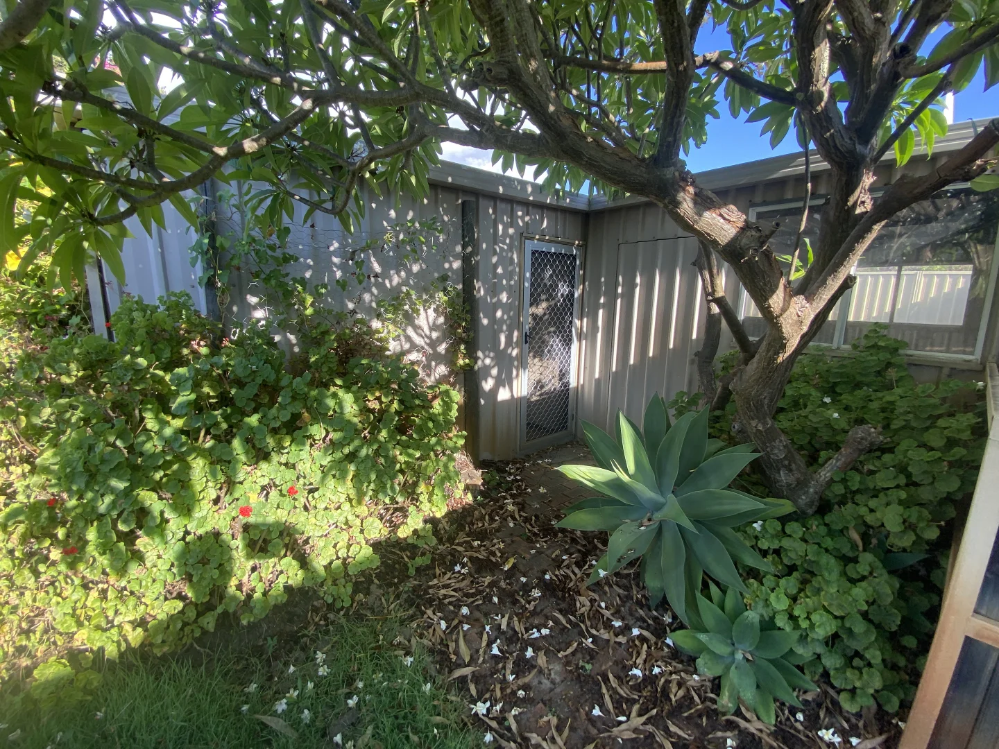 Additional image 26 of 18 Pelican Parade, Ballajura WA 6066