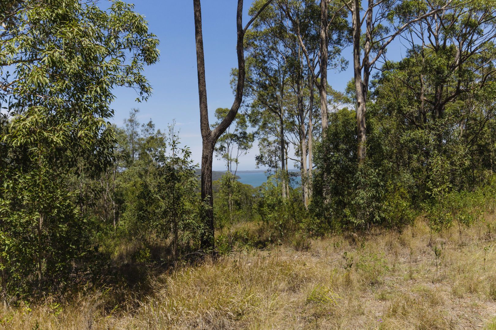 Lot 14 Pindimar Rd, Pindimar NSW 2324, Image 1