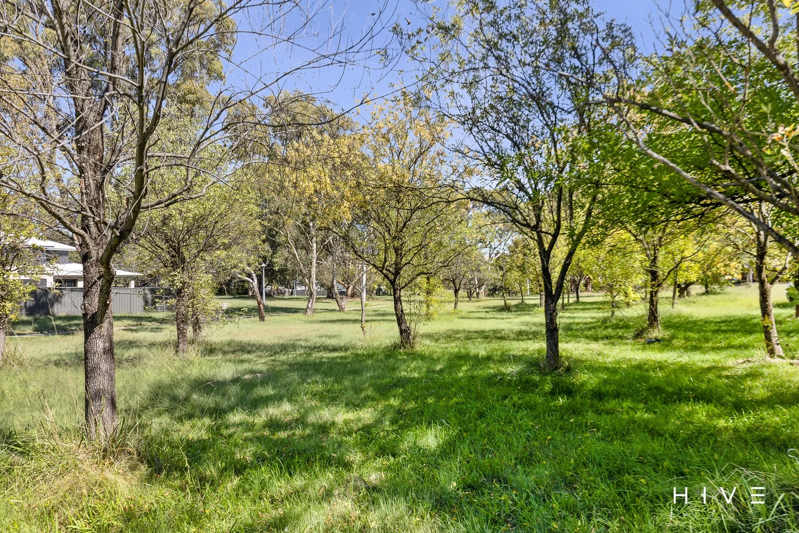 Additional image 26 of 11 Homann Place, Flynn ACT 2615