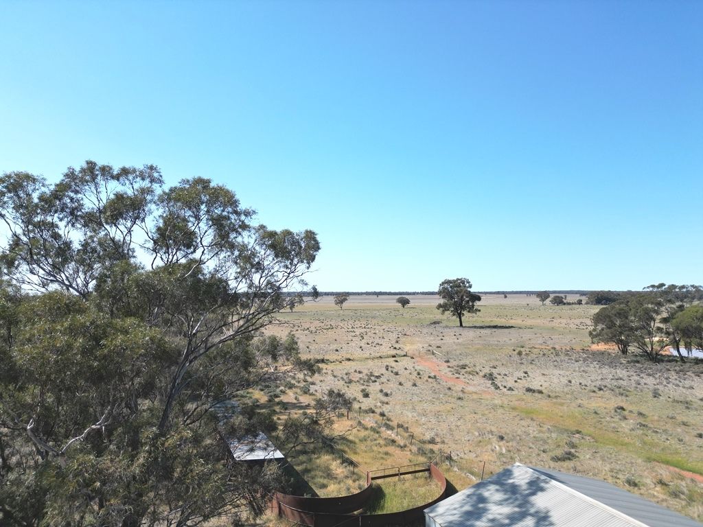 871 Mid Western Highway, West Wyalong NSW 2671, Image 2